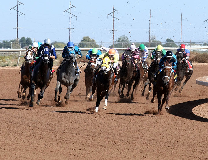 Zia Park race