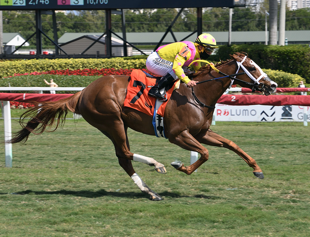 Zia's Song wins a February 2021 maiden race at Gulfstream Park