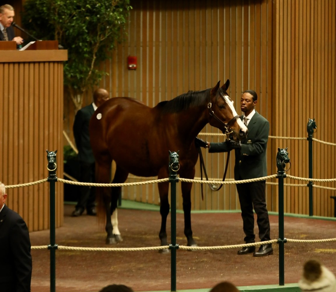 Zia - Hip 117 - sells at the 2020 Keeneland January sale