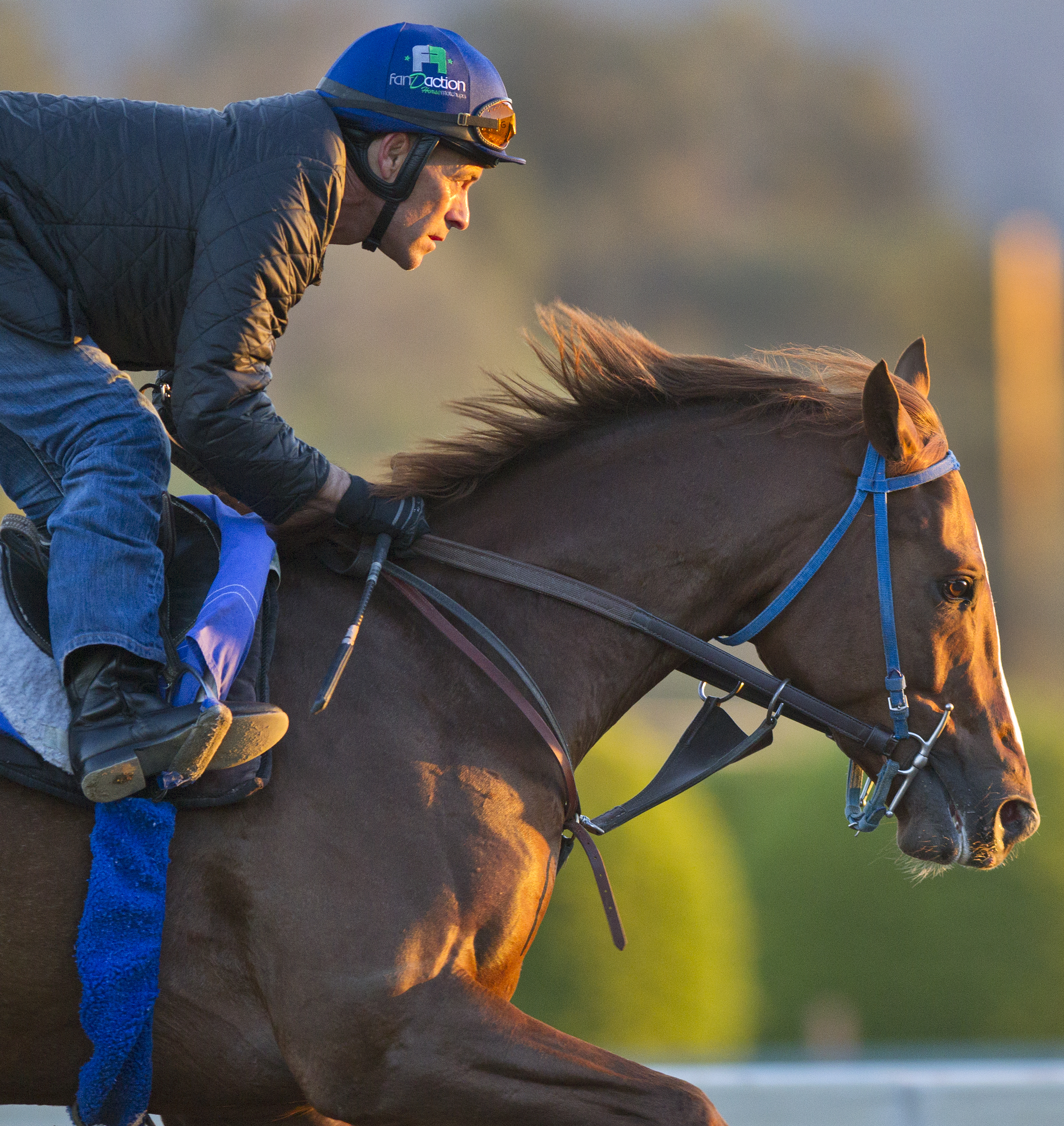 Ziconic training at Santa Anita on Feb. 17