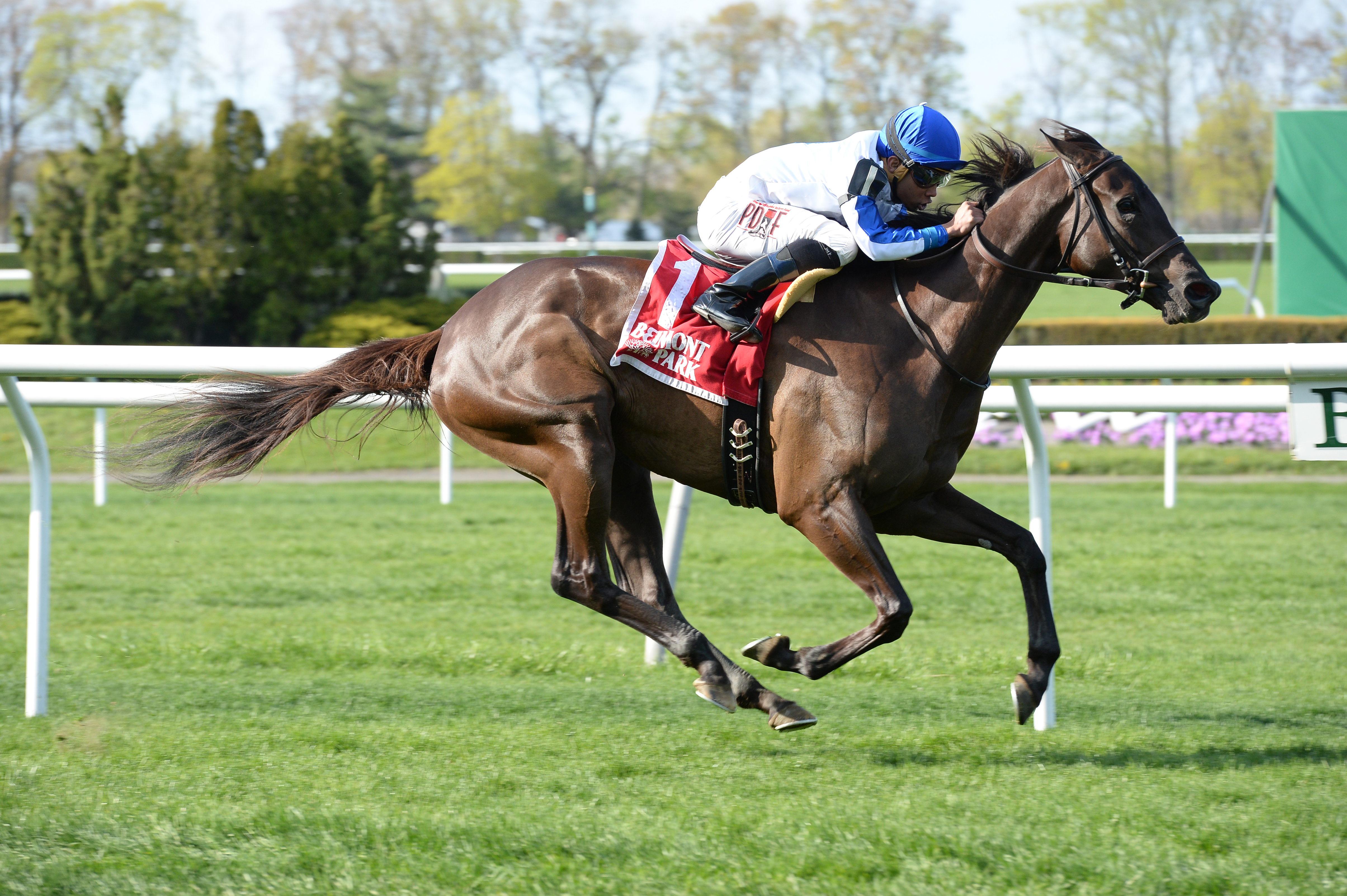 Zindaya wins the License Fee