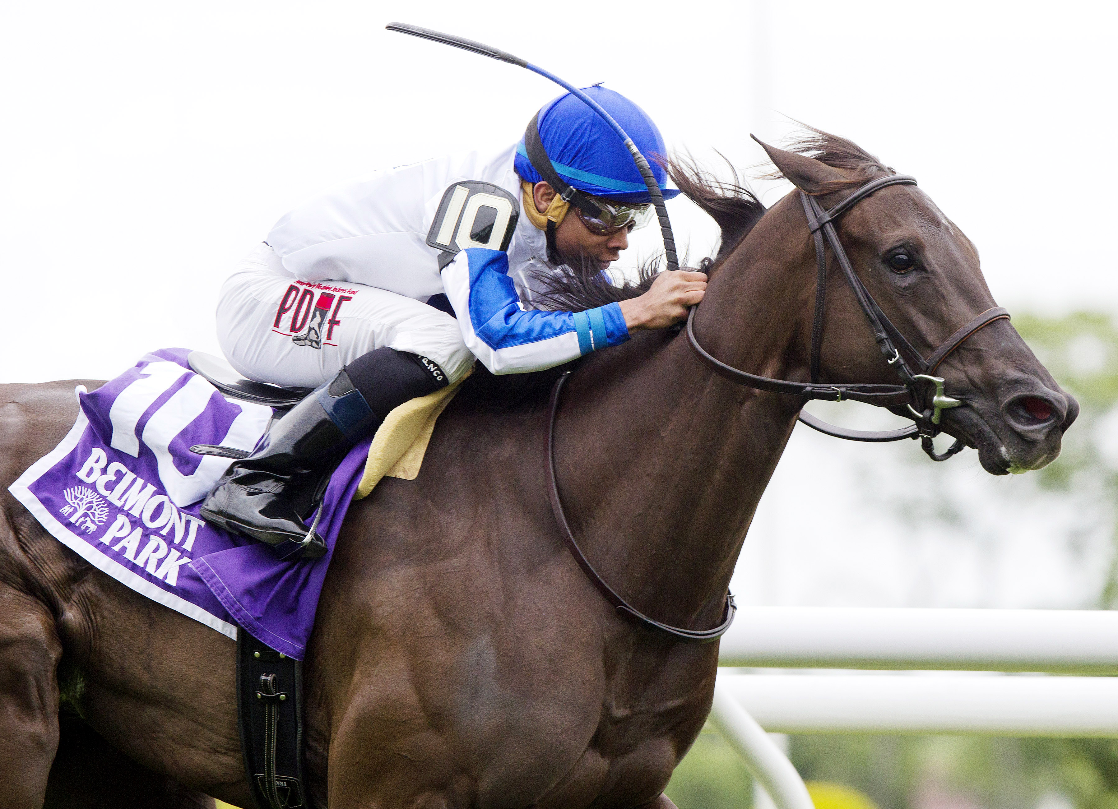 Zindaya wins the Intercontinental Stakes