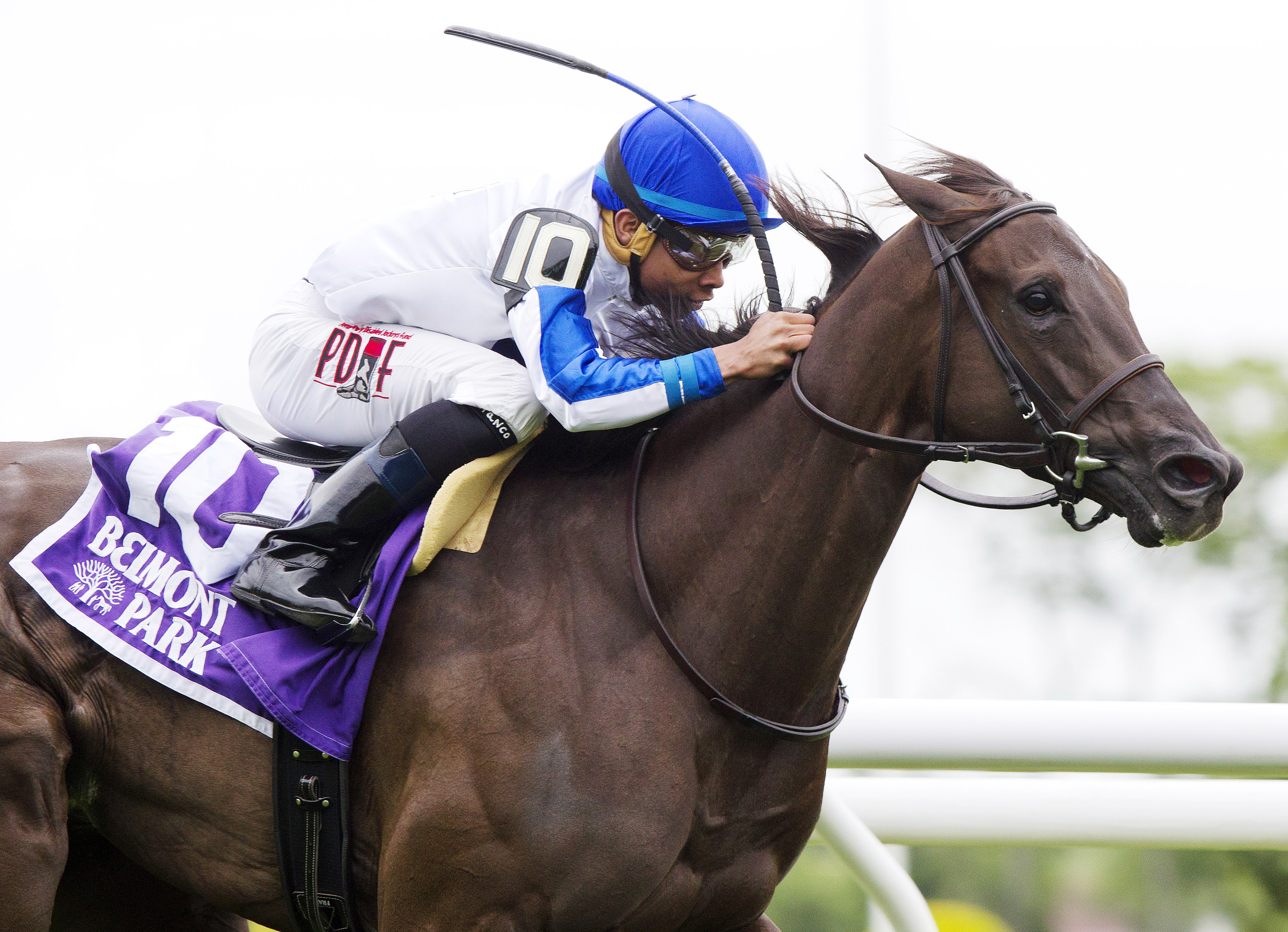 Zindaya wins the Intercontinental Stakes