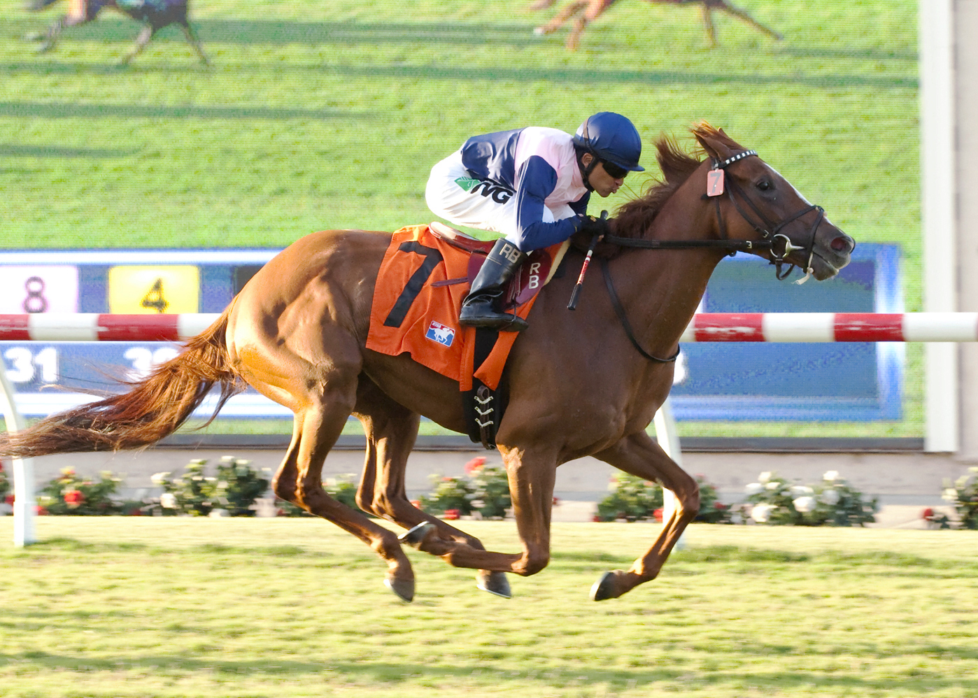 Zipessa wins an optional claimer at Del Mar