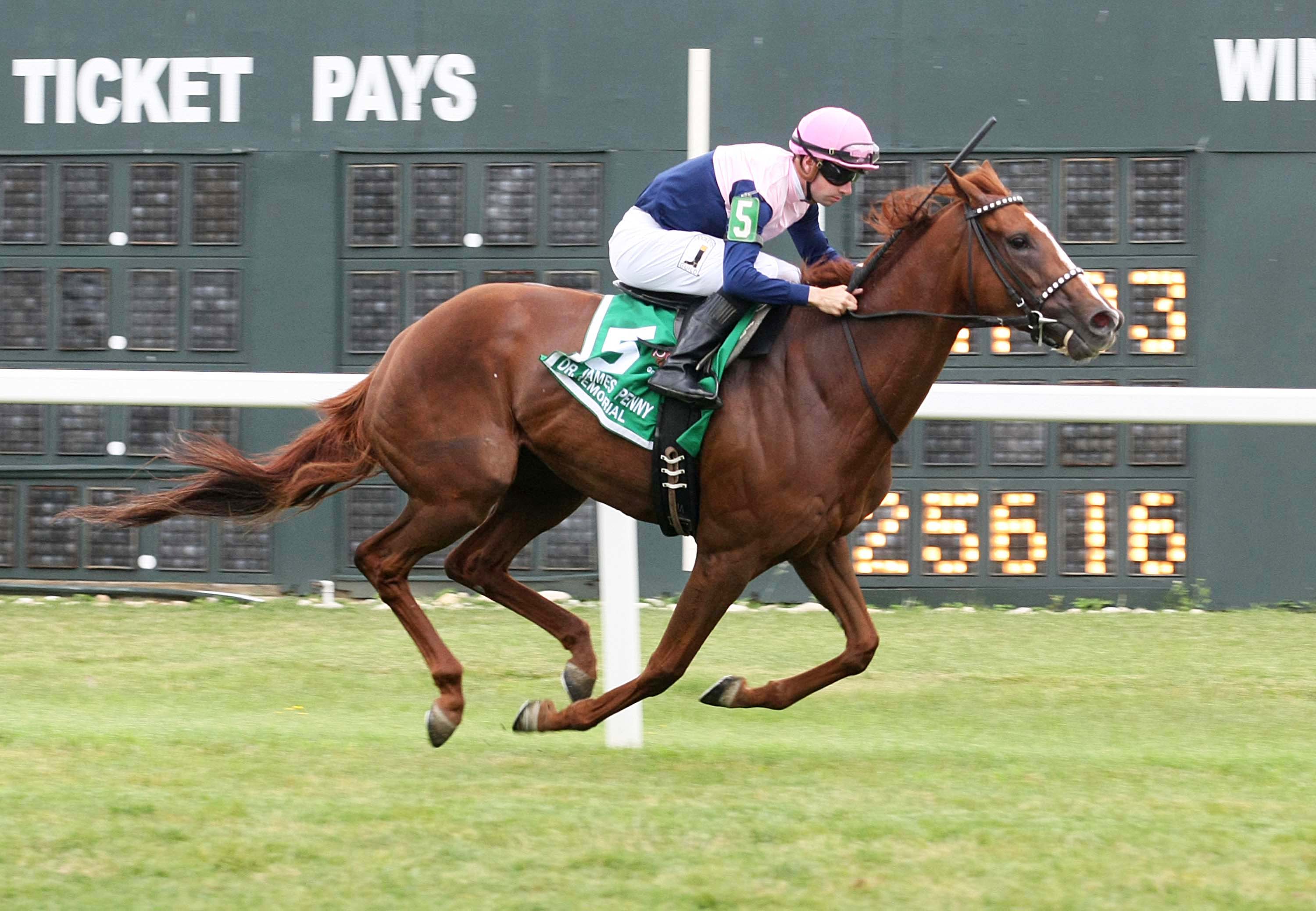 Zipessa wins the Dr. James Penny Memorial