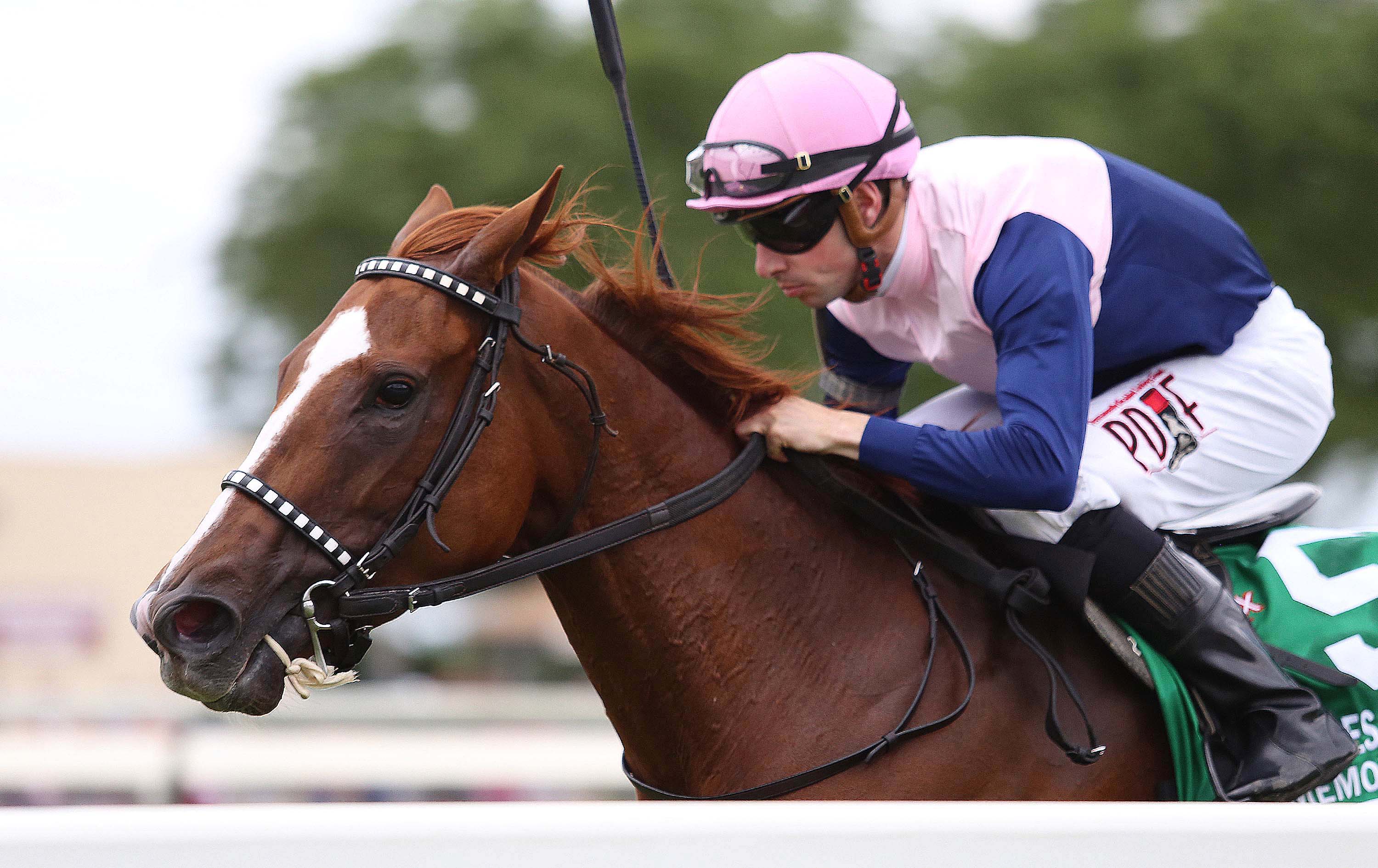 Zipessa wins the Dr. James Penny Memorial