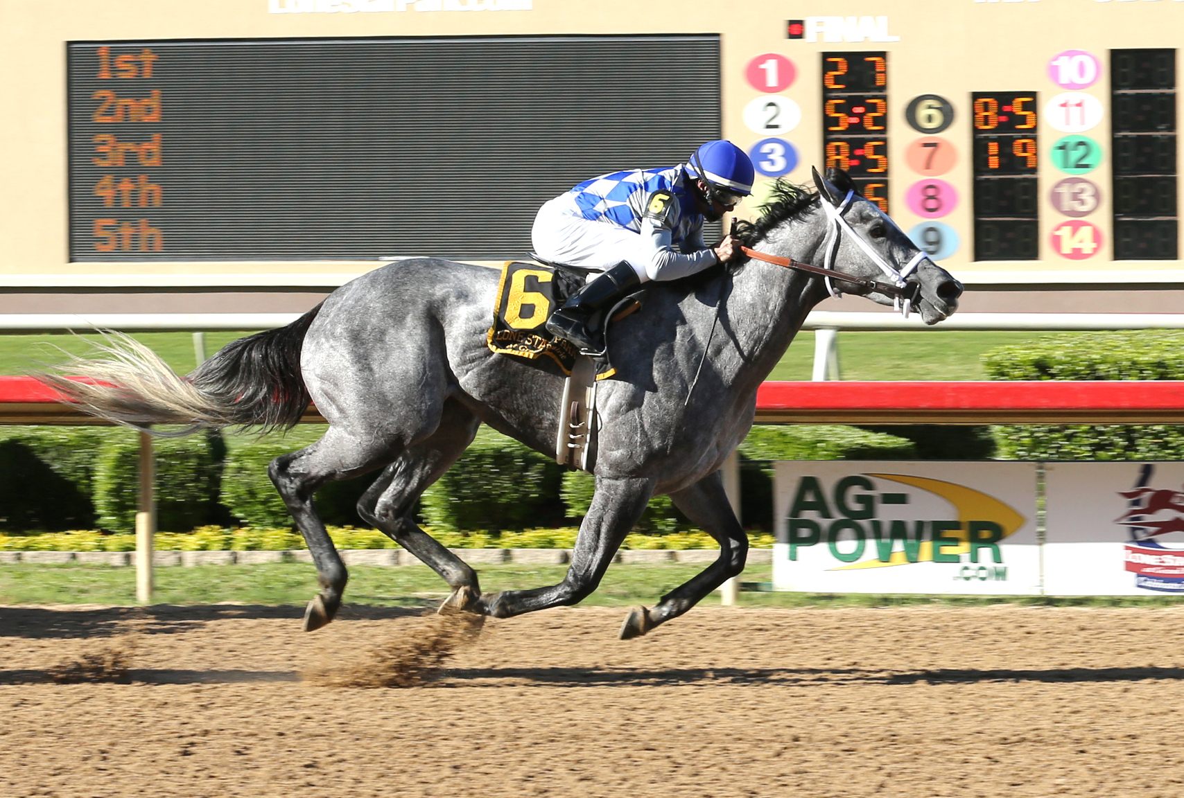 Zippit E wins the Wayne Hanks Memorial Stakes
