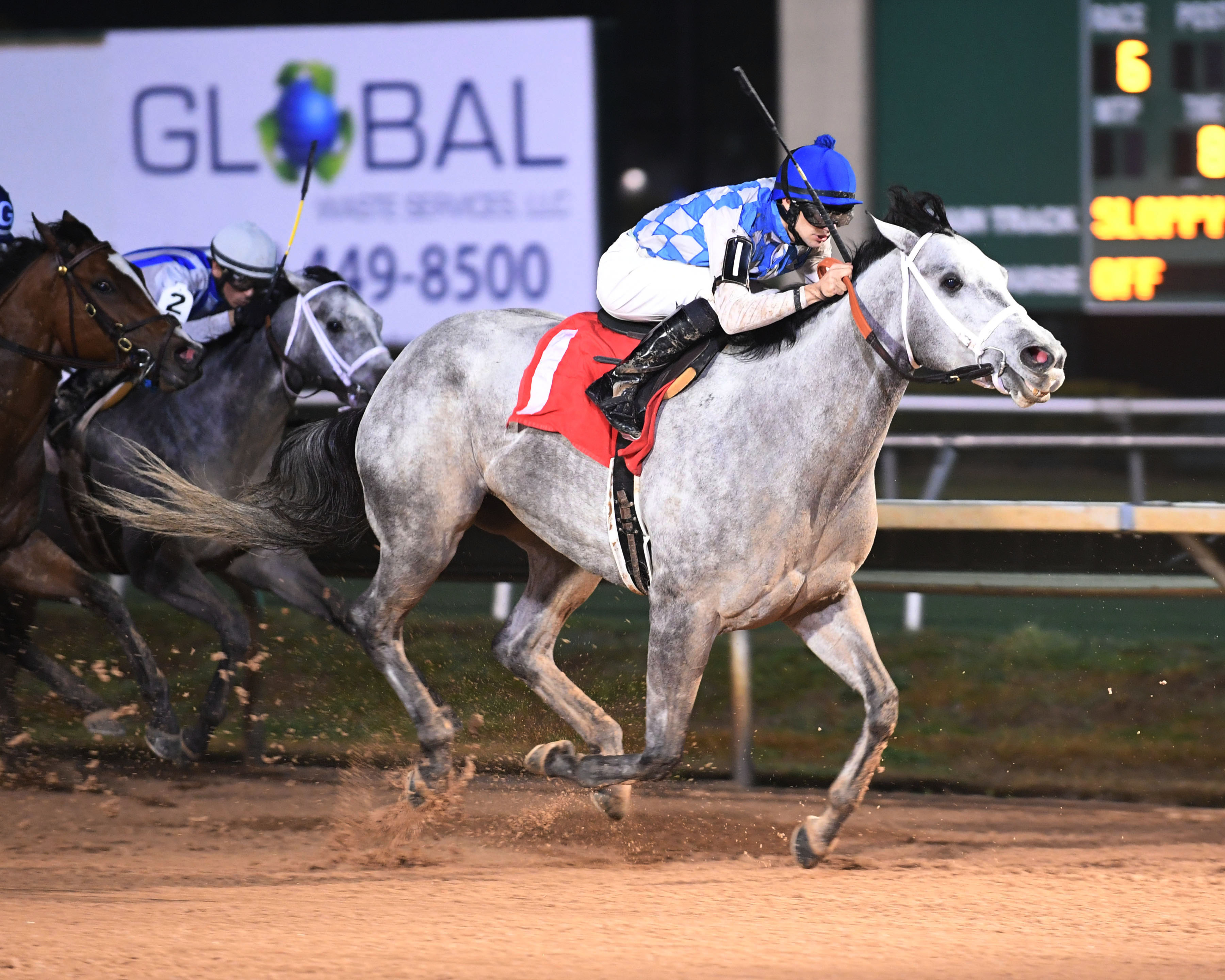 Zippit E wins 2018 Yellow Rose
