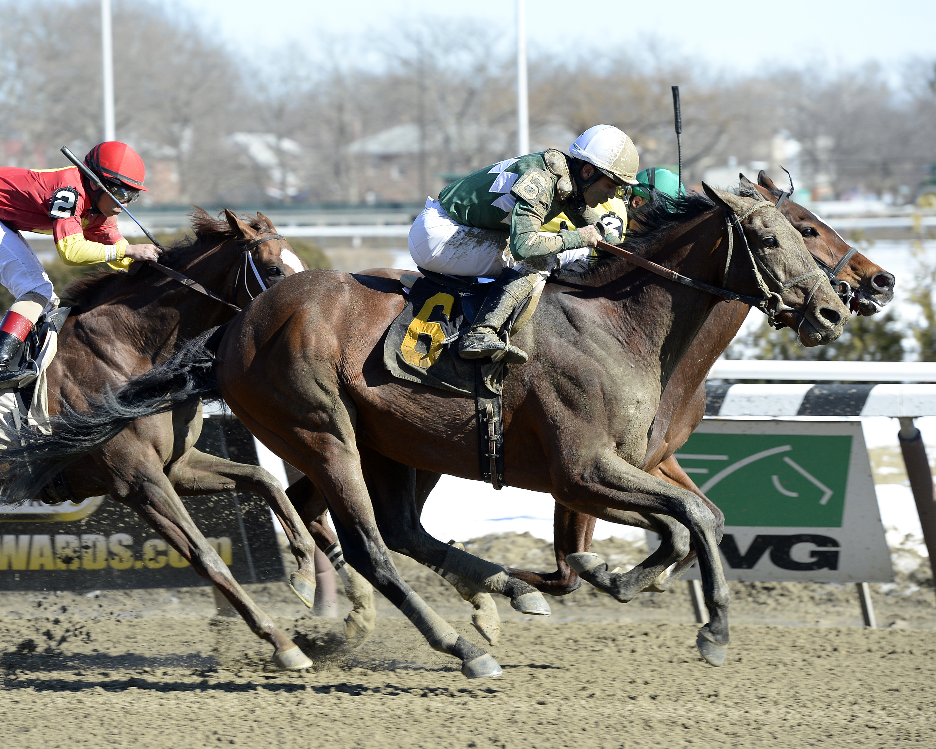 Zivo wins the Kings Point Stakes
