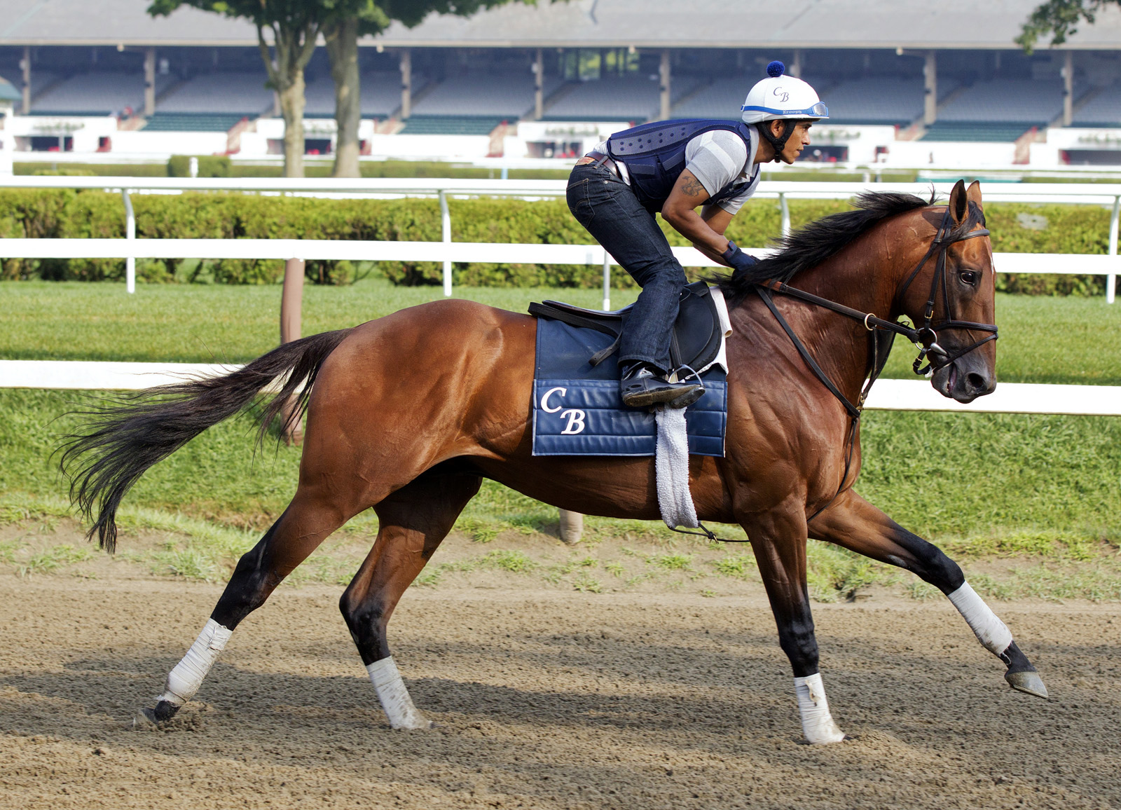 Zivo trains at Saratoga on Aug. 1
