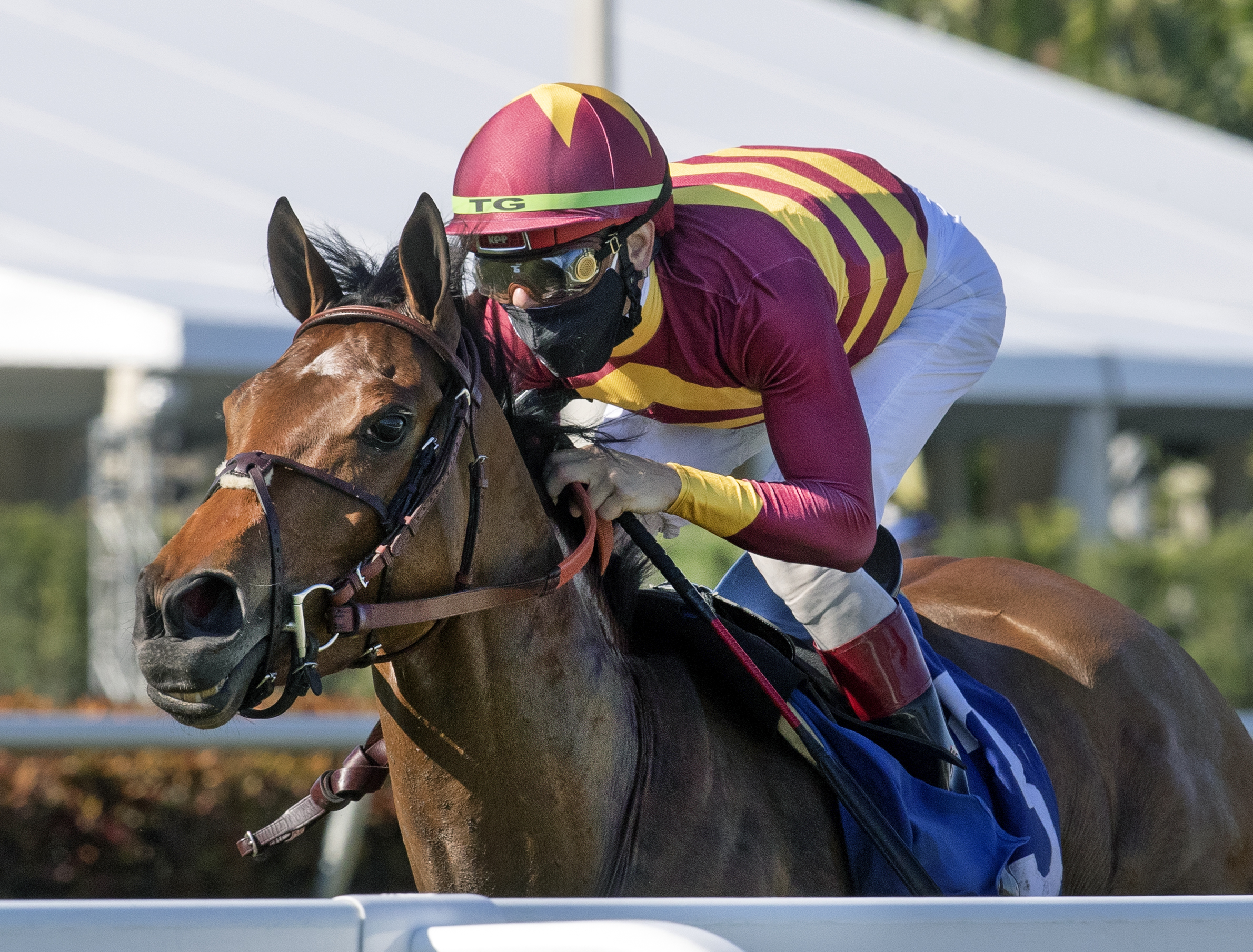 Zofelle wins Marshua's River 1-23-2021