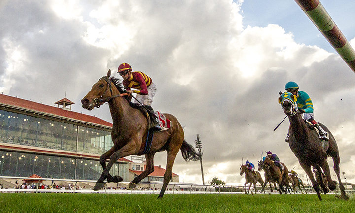 Zofelle wins the 2019 Pago Hop Stakes at Fair Grounds