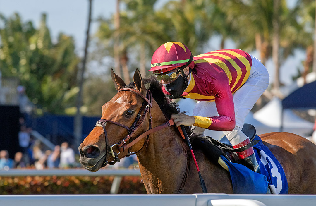 Zofelle wins the 2021 Marshua's River Stakes at Gulfstream