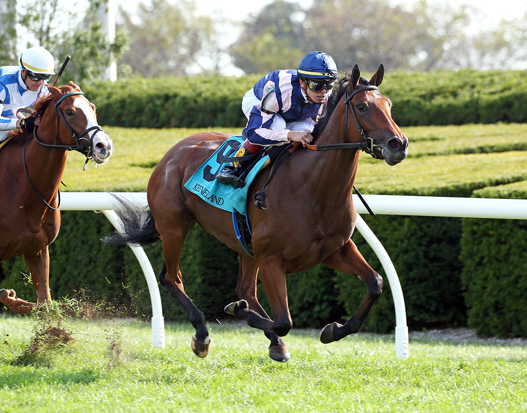 Zofelle wins an October 2019 allowance at Keeneland Racecourse