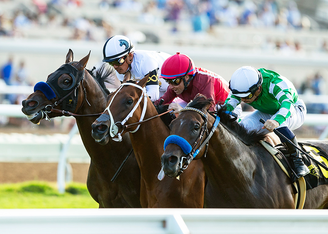 Sword Zorro (6) finishes third in the La Jolla Handicap at Del Mar