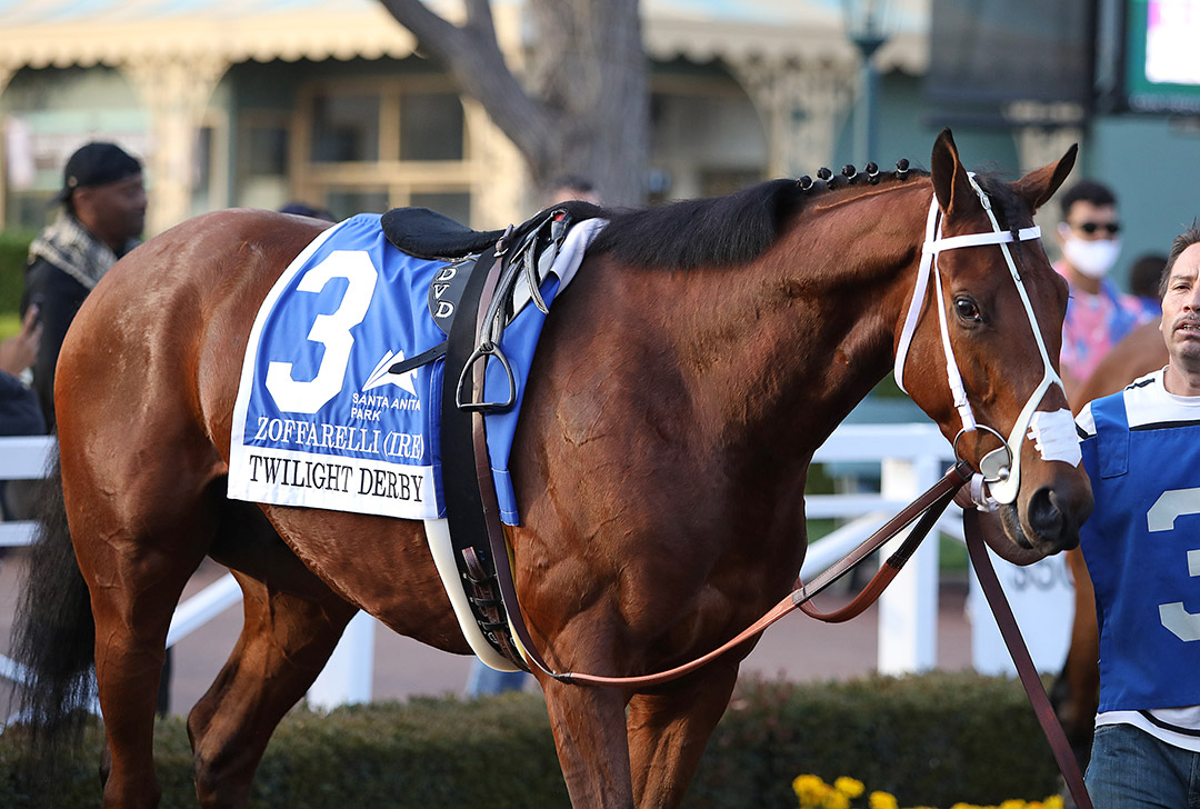 Zoffarelli at the Twilight Derby at Santa Anita Park