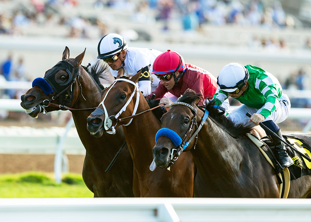 Zoffarelli (center) wins the La Jolla Handicap by disqualification at Del Mar