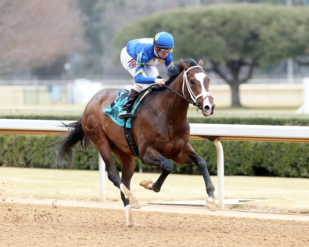 Zozos wins a Feb. 11 allowance at Oaklawn Park
