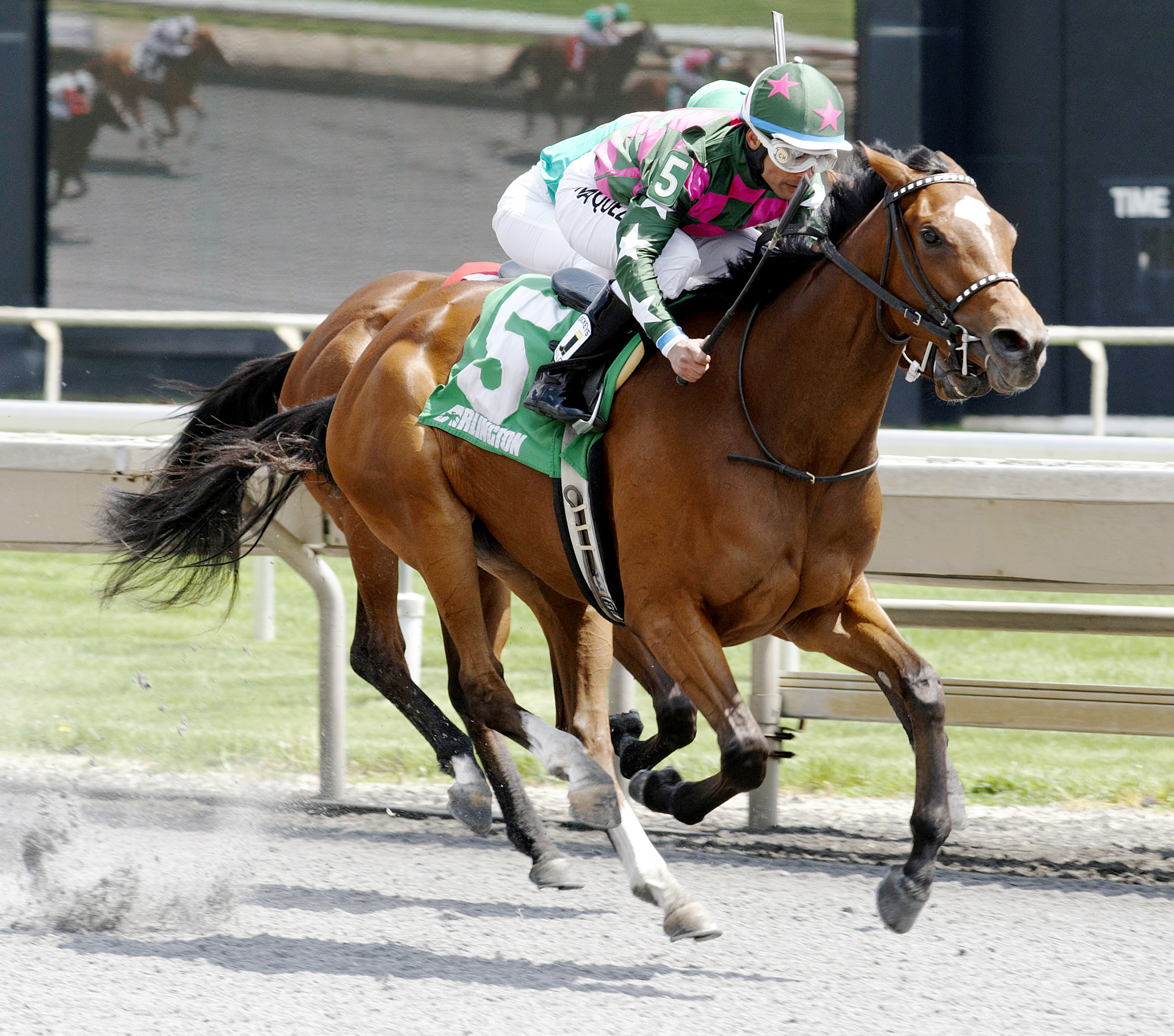 Zubi Zubi Zu wins a 2014 optional claiming race