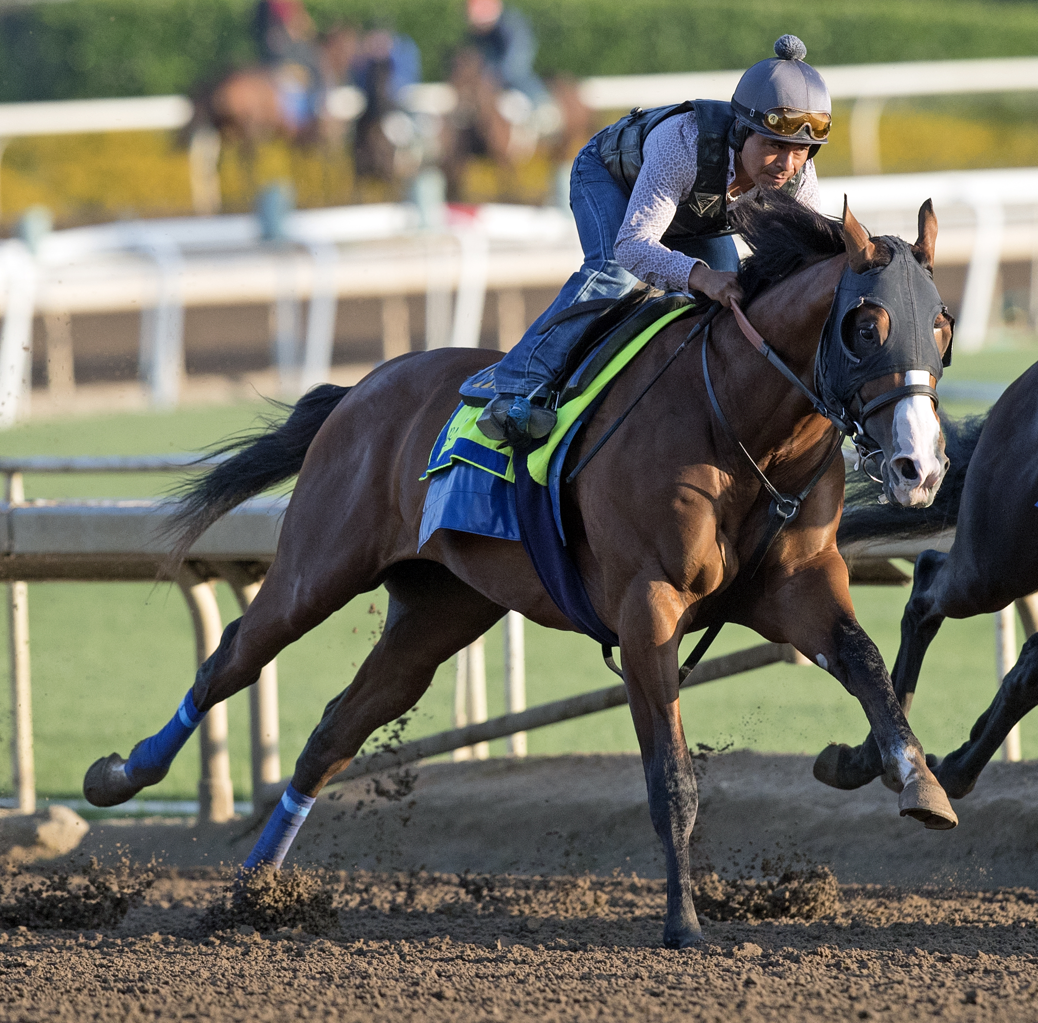 Zulfikhar trains at Santa Anita on June 25, 2017