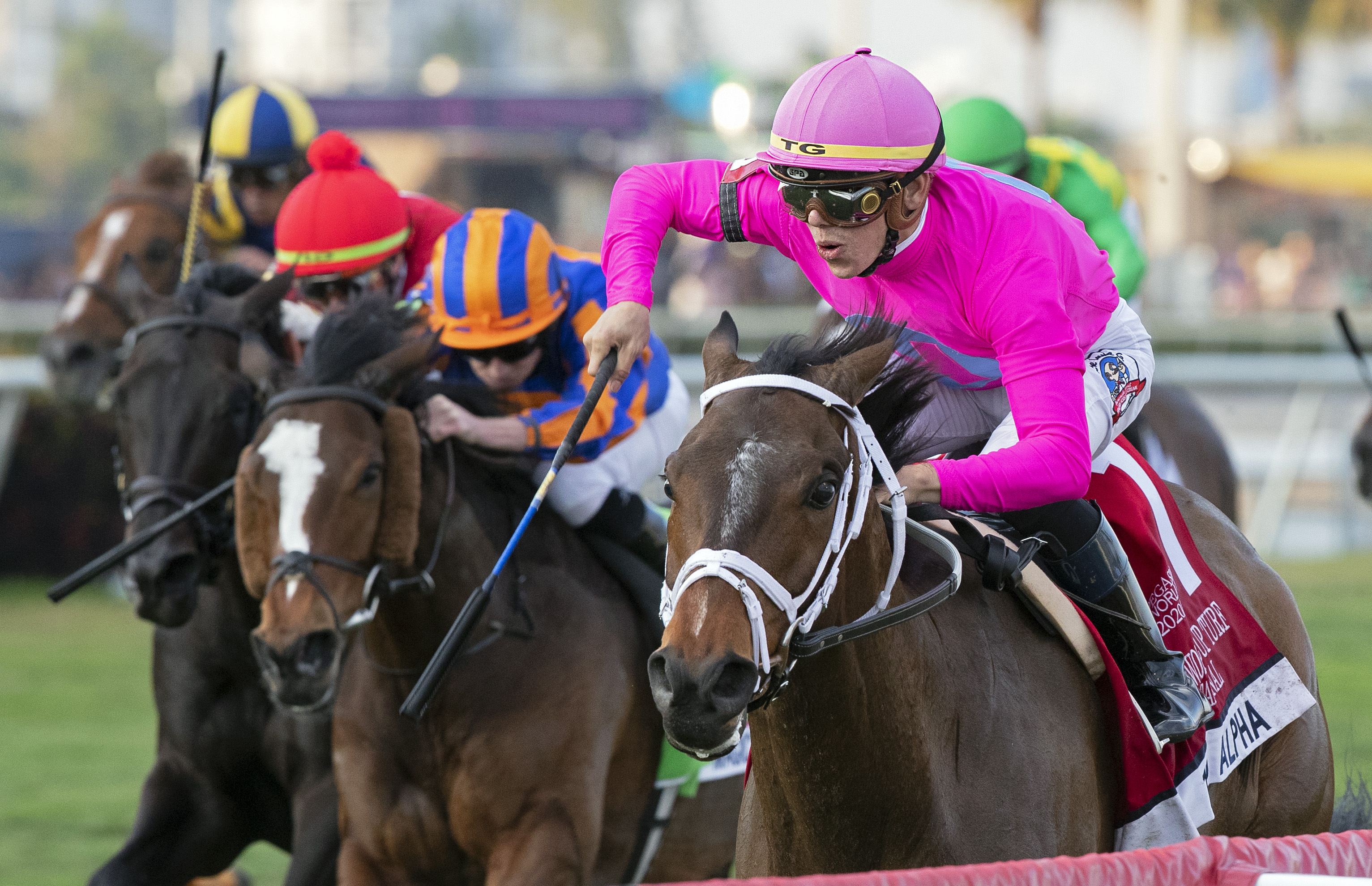 Zulu Alpha wins the Pegasus World Cup Turf under Tyler Gaffalione 1-25-20