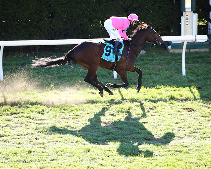 Zulu Alpha wins the Sycamore Stakes