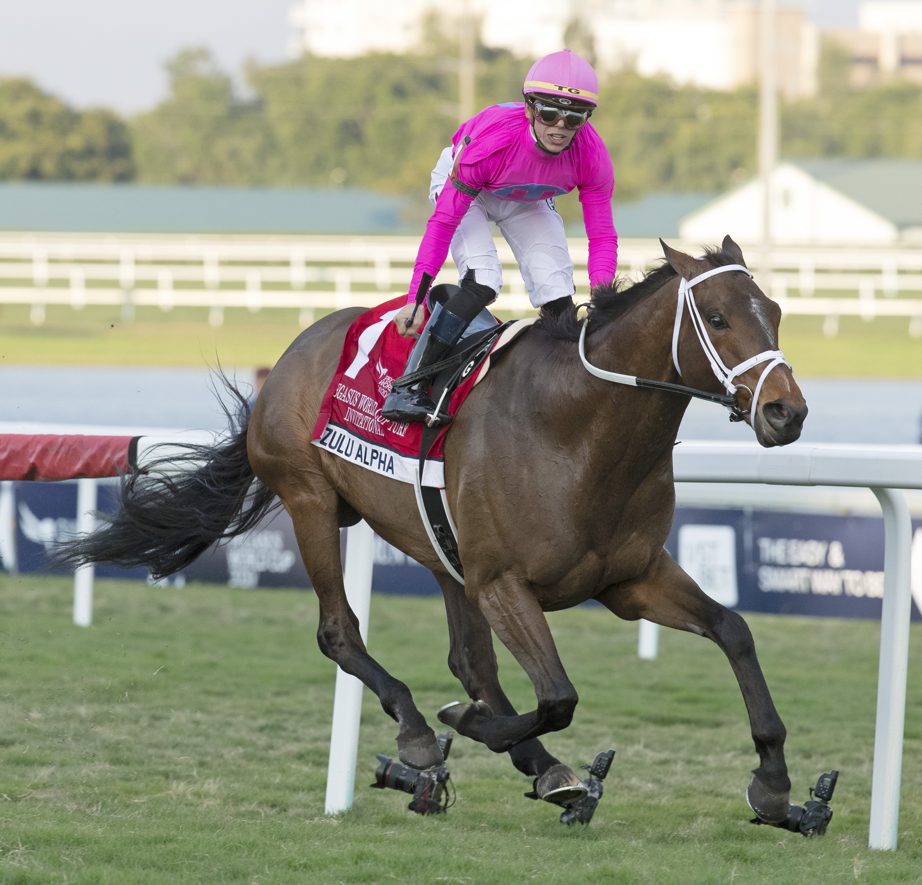 Zulu Alpha wins the 2020 Pegasus World Cup Turf
