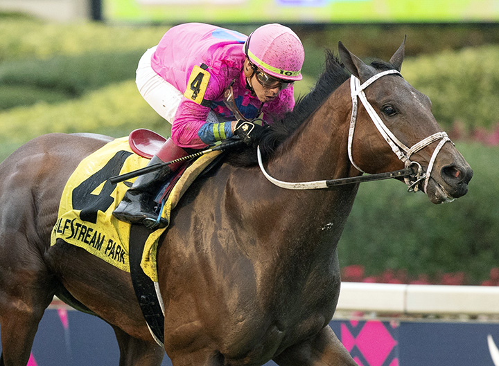 Zulu Alpha wins the W. L. McKnight Stakes