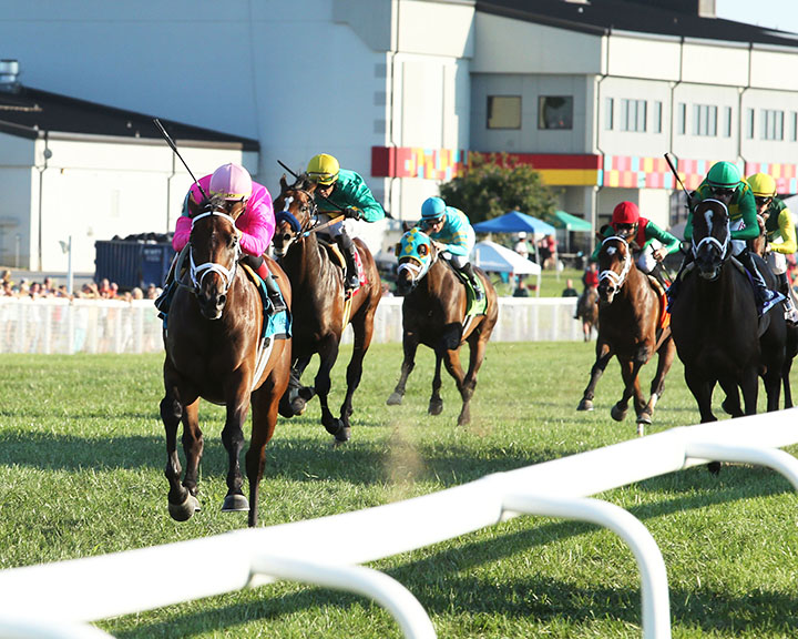 Kentucky Downs racing