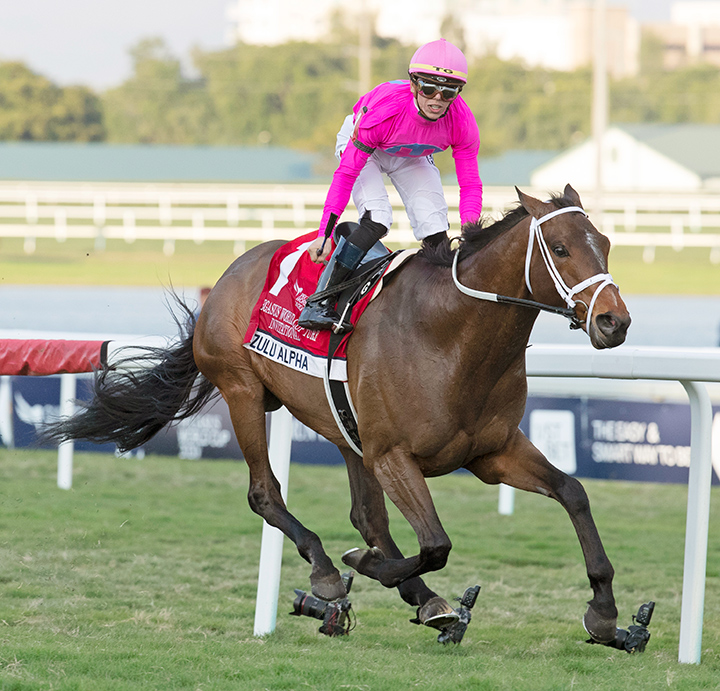 Zulu Alpha wins the 2020 Pegasus World Cup Turf at Gulfstream Park