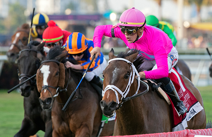 Zulu Alpha wins the 2020 Pegasus World Cup Turf at Gulfstream Park