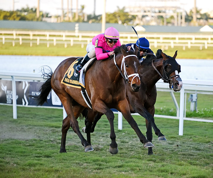 Zulu Alpha (left) wins the 2020 Mac Diarmida Stakes at Gulfstream Park