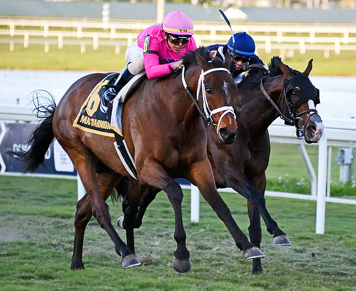 Zulu Alpha (left) wins the 2020 Mac Diarmida Stakes at Gulfstream Park