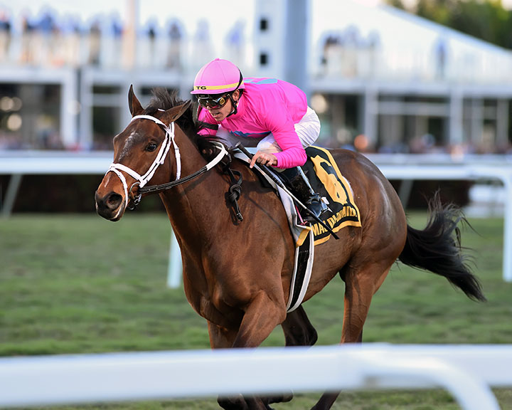 Zulu Alpha wins the Mac Diarmida Stakes at Gulfstream Park
