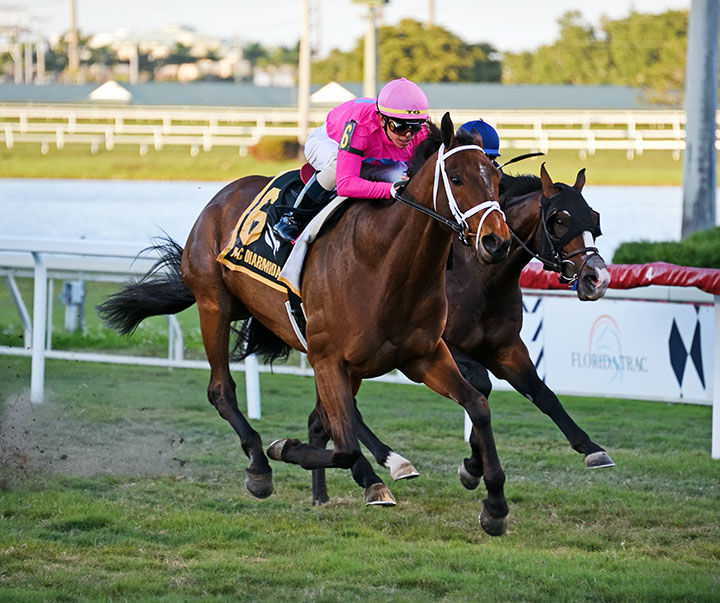 Zulu Alpha (left) wins the Mac Diarmida Stakes at Gulfstream Park