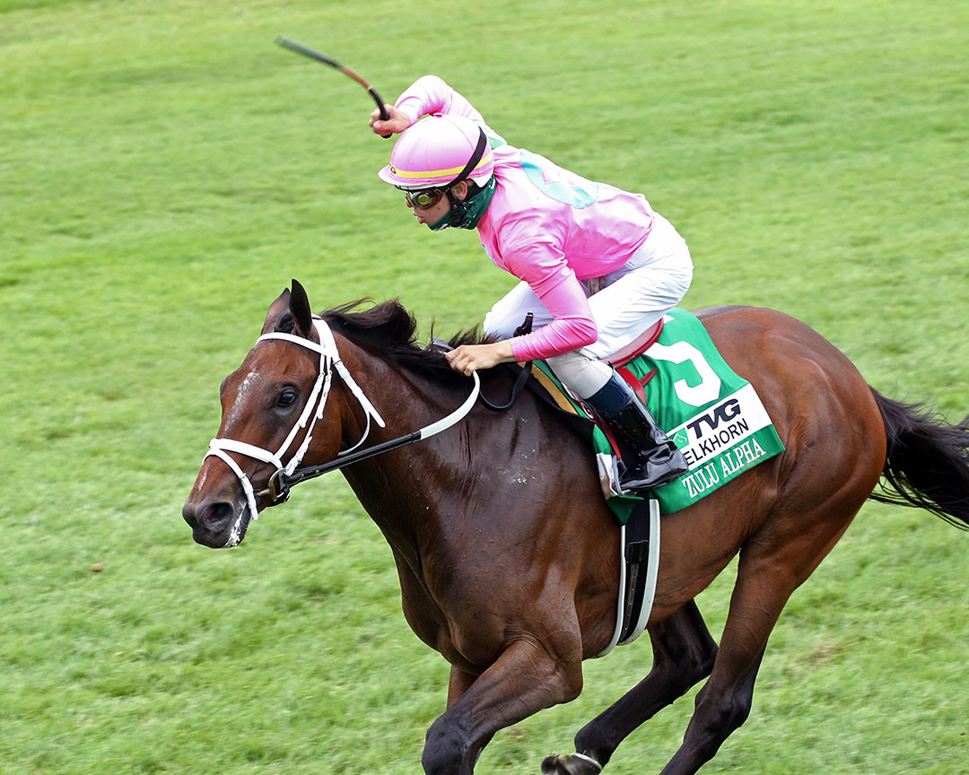 Zulu Alpha wins the 2020 Elkhorn Stakes at Keeneland Racecourse