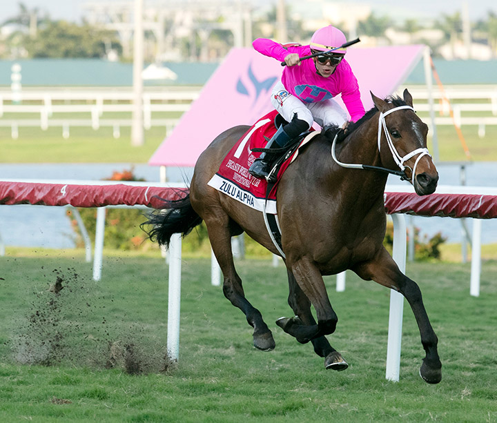 Zulu Alpha wins the 2020 Pegasus World Cup Turf at Gulfstream Park