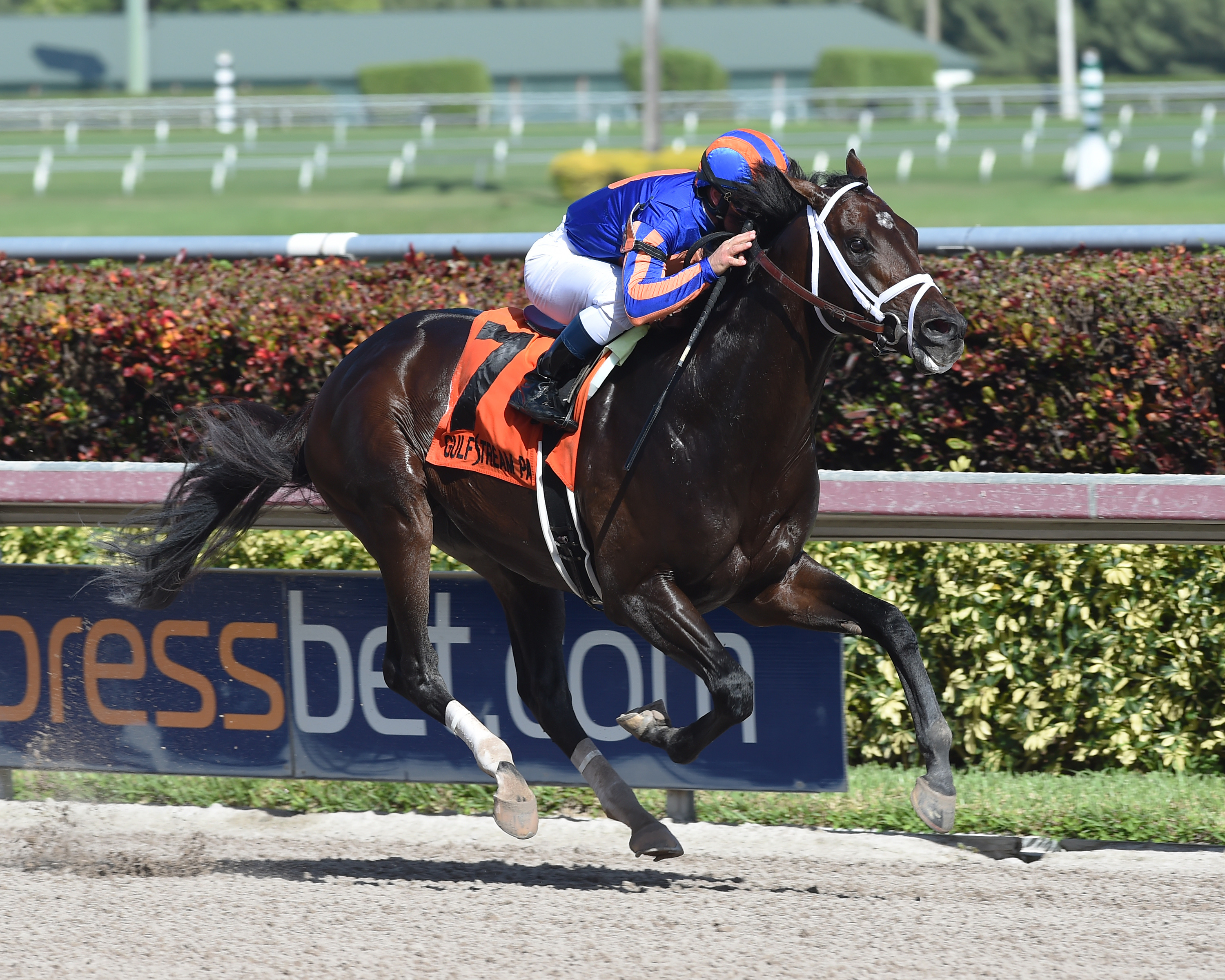 Zulu wins the Tamarac Stakes