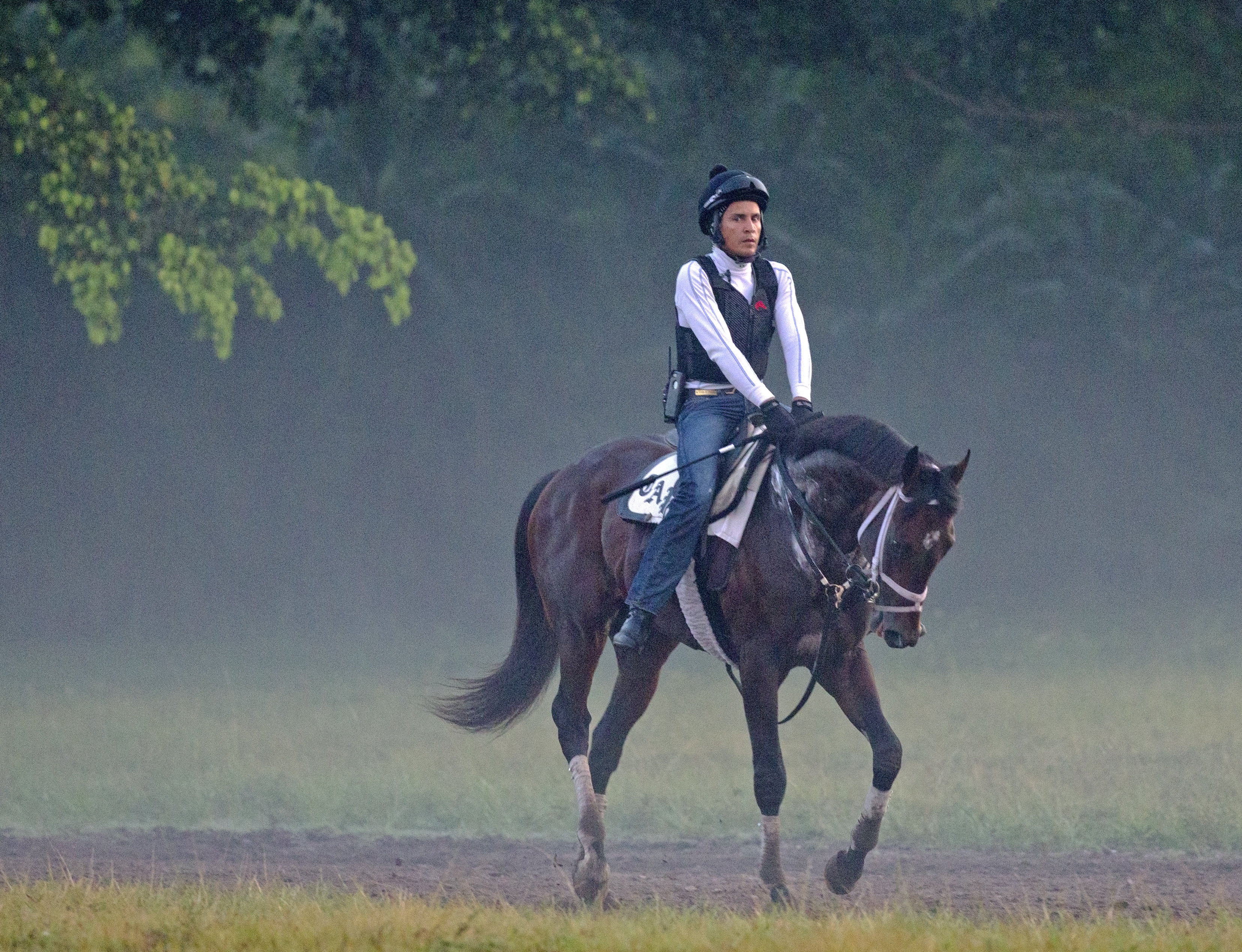 Zulu at Palm Beach Downs on March 26