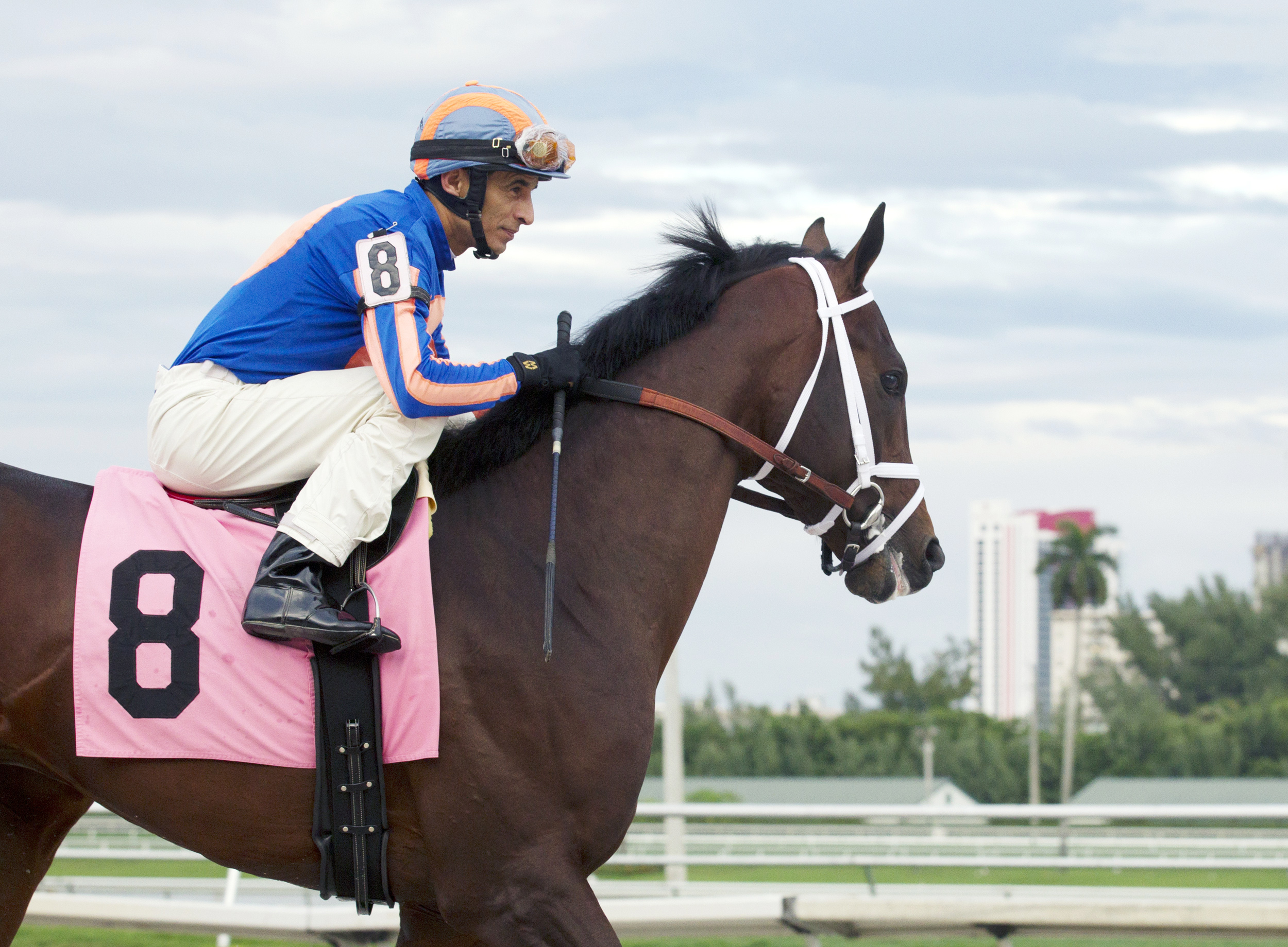 Zulu after winning an allowance at Gulfstream Park