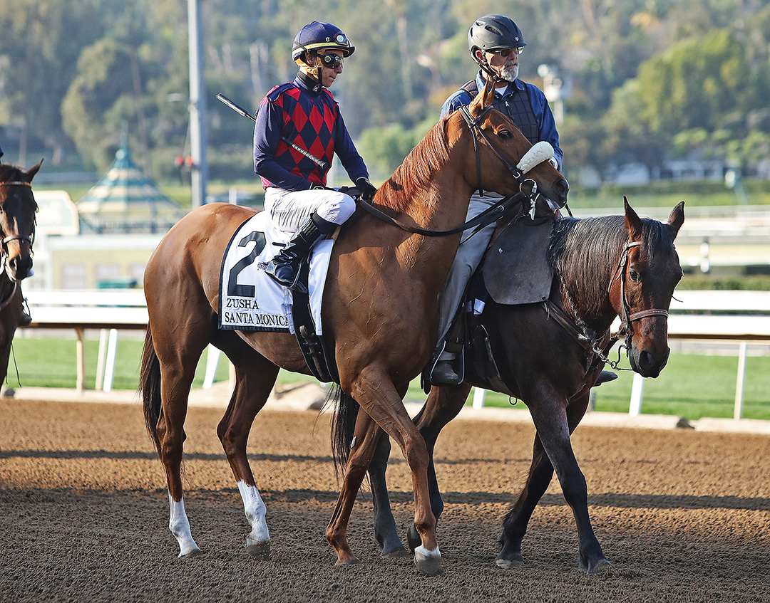 Zusha at Santa Anita Park in February 2020