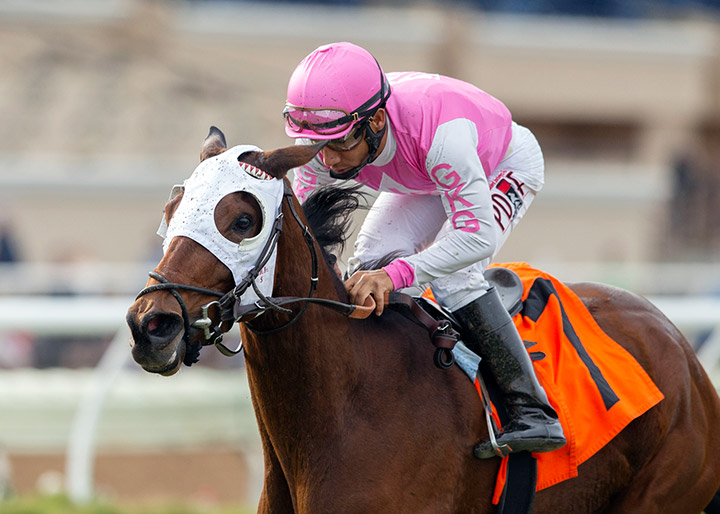 Zuzanna wins the 2019 Red Carpet Handicap at Del Mar