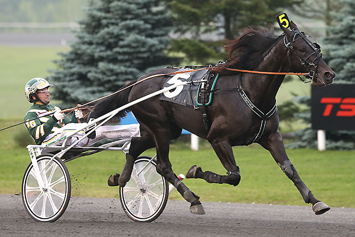 Canepa Hanover
