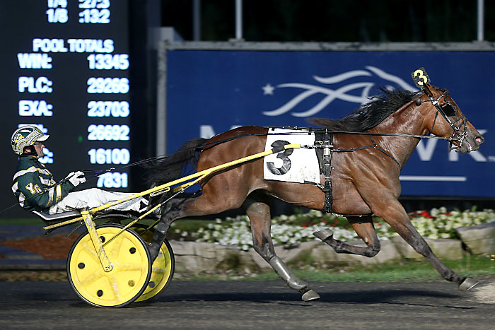 Southwind Frank