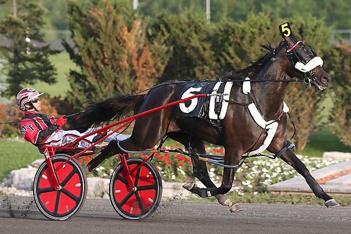 Wiggle It Jiggleit_NA Cup elim
