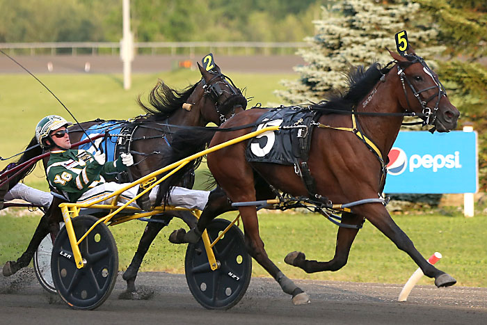 Sassa Hanover