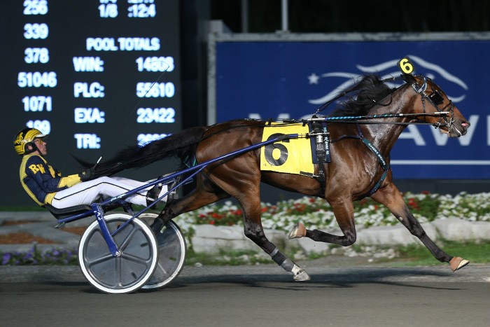 Caprice Hill