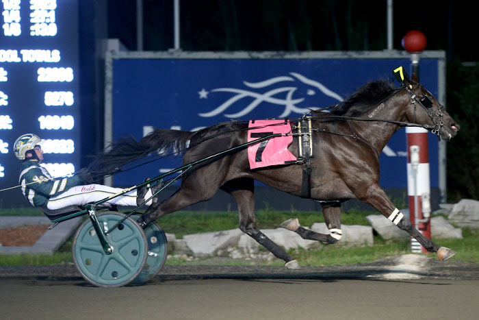 Hannelore Hanover