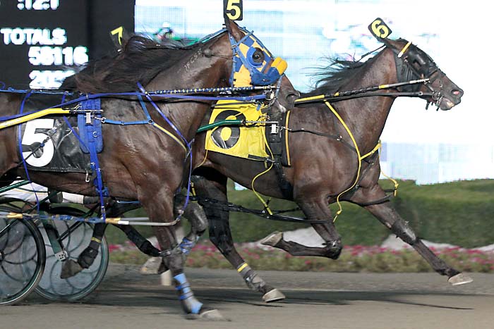 Foiled Again-CPD