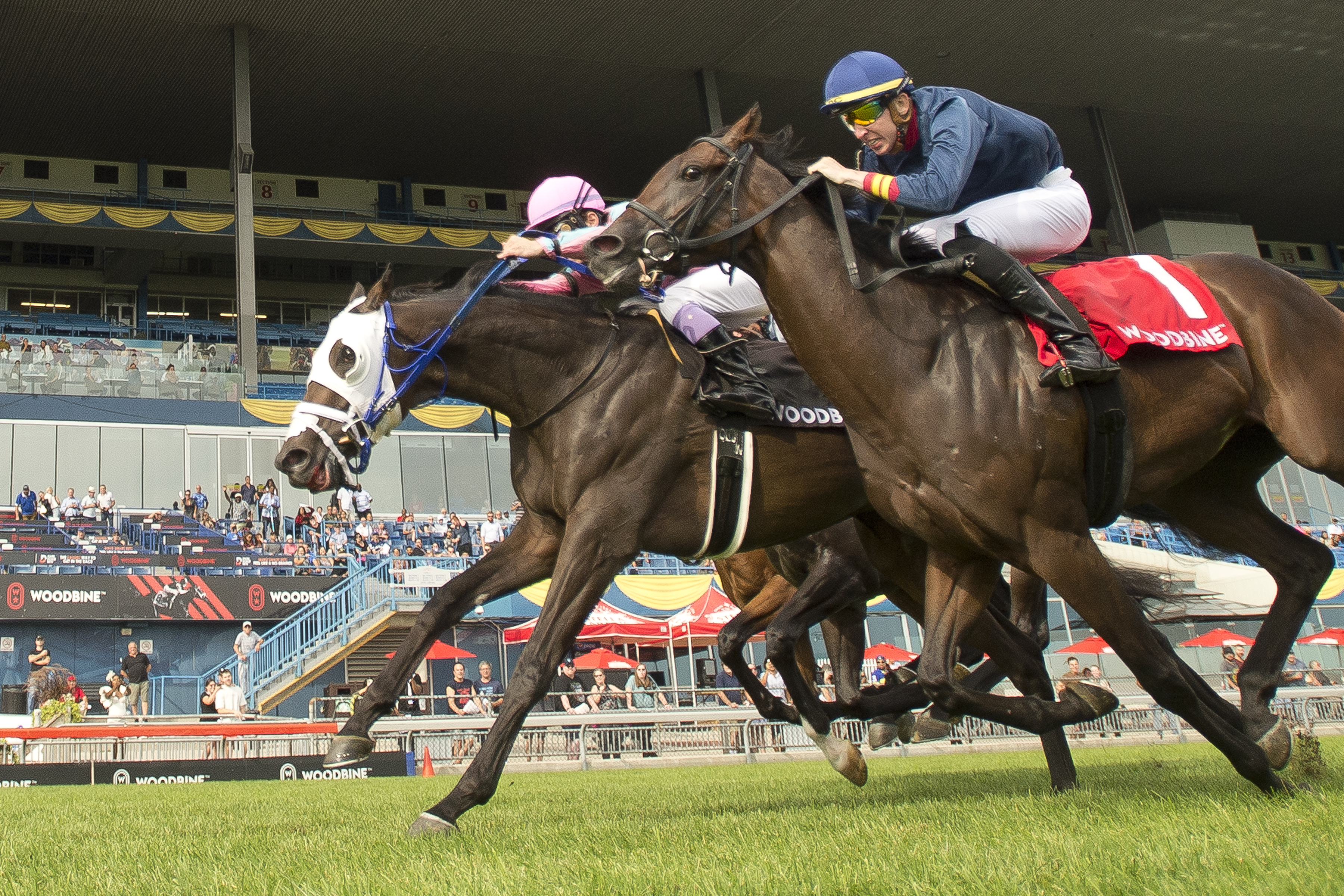 Luckman/Toronto Cup